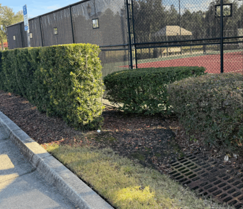 Screenshot 2026 01 07 073715