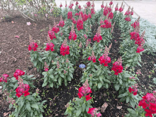 Screenshot 2026 01 08 154235