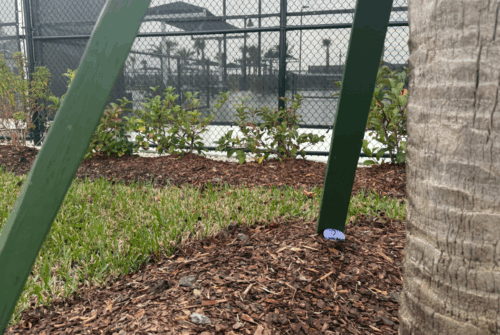 Screenshot 2026 01 16 094921