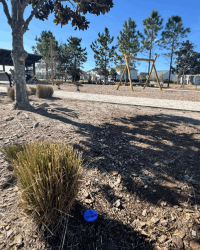 Screenshot 2026 01 22 170726