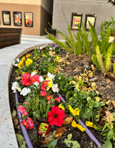 Screenshot 2026 01 26 100215