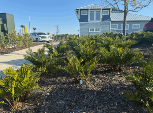 Screenshot 2026 01 29 085549