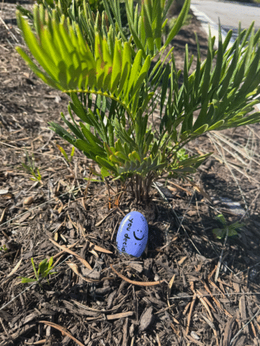 Screenshot 2026 01 30 075033