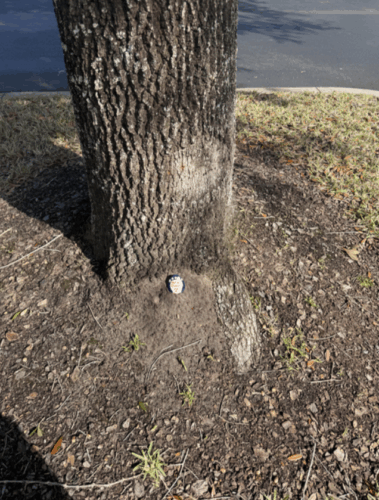 Screenshot 2026 01 13 135015