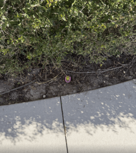 Screenshot 2026 01 17 111600