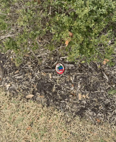 Screenshot 2026 01 27 113100