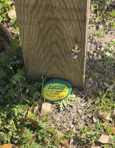 Screenshot 2026 01 29 085303